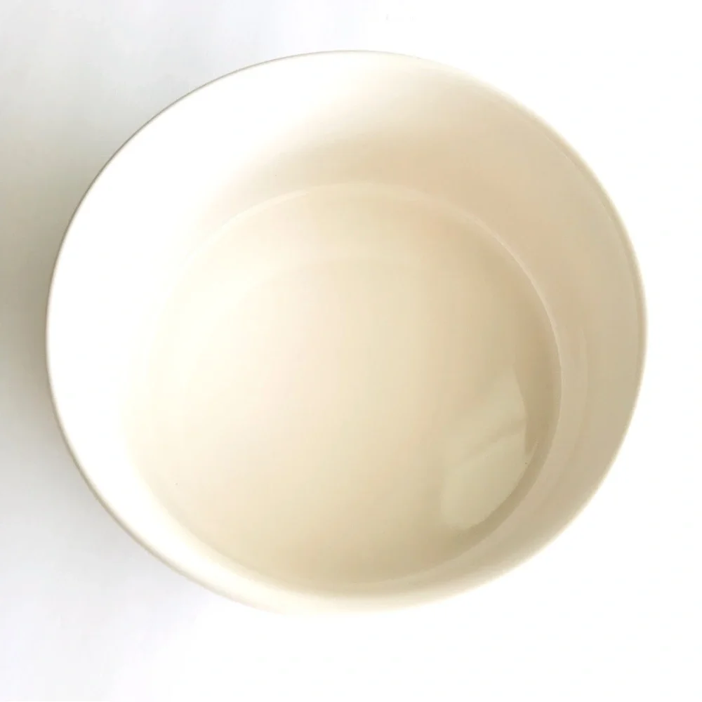 RAE DUNN More Please White Ceramic Pet Bowl 6”